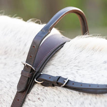 Load image into Gallery viewer, Correct Connect Double Neck Strap