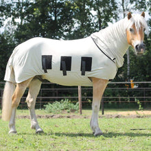 Load image into Gallery viewer, Bug Body Fly Rug