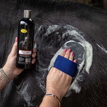 Load image into Gallery viewer, Black Magic Shampoo