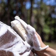 Load image into Gallery viewer, Hairy Pony Wash Bay Brush