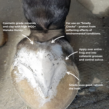 Load image into Gallery viewer, Hoof Pack for a "Smelly Crack"