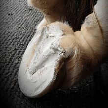 Load image into Gallery viewer, Hoof Pack for a "Smelly Crack"