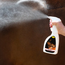 Load image into Gallery viewer, Buzz Off Spray