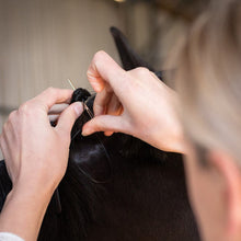 Load image into Gallery viewer, Hairy Pony Stainless Steel Plaiting Needles x2