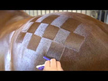 Load image into Gallery viewer, Hairy Pony Shimmer Spray