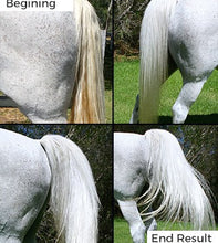 Load image into Gallery viewer, HSE HiTone Silver