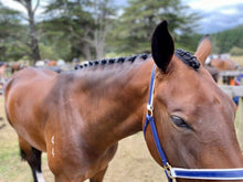 Load image into Gallery viewer, Stick It!