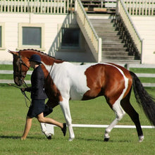 Load image into Gallery viewer, Whitening Chalk/Paint