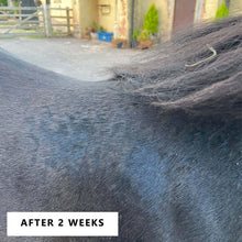 Load image into Gallery viewer, Itch Soothe Balm