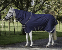 Load image into Gallery viewer, Cavallino Gen 4 Detach A Neck