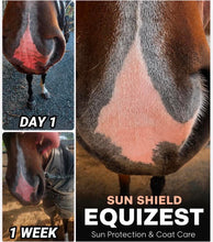Load image into Gallery viewer, EquiZest Sun Shield Skin & Coat
