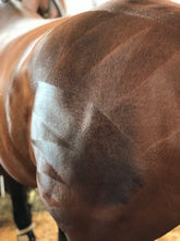 Load image into Gallery viewer, Hairy Pony Quarter Mark Kit