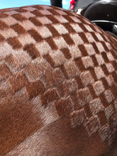 Load image into Gallery viewer, Hairy Pony Quarter Mark Kit