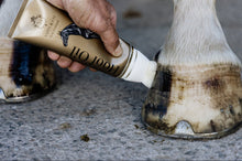 Load image into Gallery viewer, Aspin & Co Hoof Oil