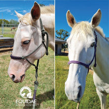 Load image into Gallery viewer, Equidae Sunscreen Powder & Brush