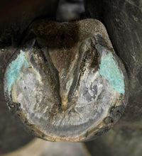 Load image into Gallery viewer, BLUESTONE BANG - Therapeutic Hoof Wax