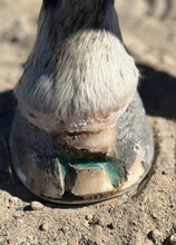 Load image into Gallery viewer, BLUESTONE BANG - Therapeutic Hoof Wax