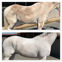 Load image into Gallery viewer, WHITE & BRIGHTER Horse Shampoo (Purple Shampoo)