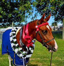 Load image into Gallery viewer, Black Make-Up