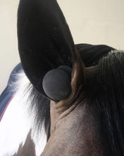 Load image into Gallery viewer, Perform Equine Heritage Earplugs