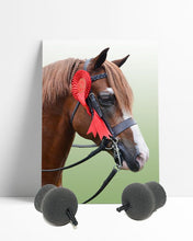 Load image into Gallery viewer, Perform Equine Heritage Earplugs