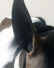 Load image into Gallery viewer, Perform Equine Heritage Earplugs