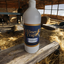 Load image into Gallery viewer, Diamond Luxe Oil Conditioner