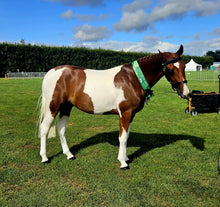 Load image into Gallery viewer, Diamond Luxe Oil Conditioner