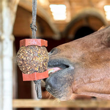 Load image into Gallery viewer, StayBall Saver