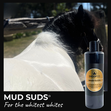 Load image into Gallery viewer, Mud Suds Clarifying Charcoal Horse Shampoo