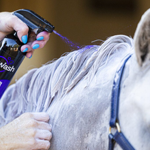 Load image into Gallery viewer, Eziwash -Purple Haze Shampoo