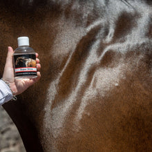 Load image into Gallery viewer, Super Shine