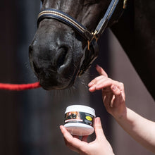 Load image into Gallery viewer, Enhancing Gloss