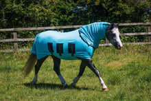 Load image into Gallery viewer, Bug Body Fly Rug