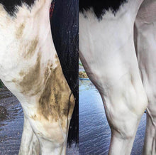 Load image into Gallery viewer, Deep Purple Shampoo