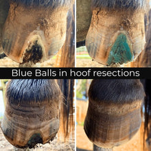 Load image into Gallery viewer, Beeswax BLUE Balls® Hoof Wall Crevice Wax
