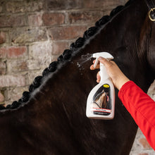 Load image into Gallery viewer, Perfect Plaits