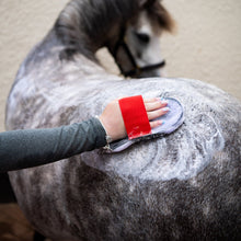 Load image into Gallery viewer, Super Groomer -Deluxe Edition