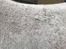 Load image into Gallery viewer, Sulphur Wash Bar