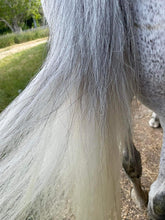 Load image into Gallery viewer, Bright White/Glow White Twin Pack