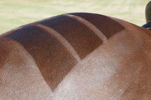 Load image into Gallery viewer, Quarter-Marker Spray