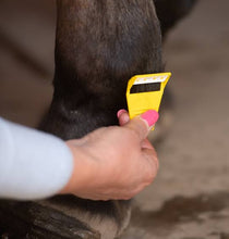 Load image into Gallery viewer, Smart Grooming Equi-Shave