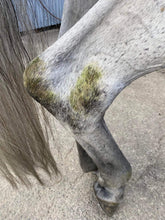 Load image into Gallery viewer, Polar White Stain Remover