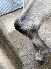 Load image into Gallery viewer, Polar White Stain Remover