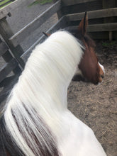 Load image into Gallery viewer, Bright White/Glow White Twin Pack