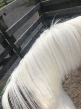 Load image into Gallery viewer, Bright White/Glow White Twin Pack