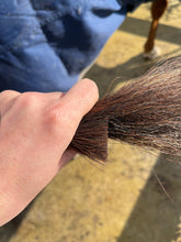 Load image into Gallery viewer, Tail Trimming Scissors