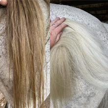 Load image into Gallery viewer, Glow White -Purple Shampoo