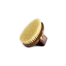 Load image into Gallery viewer, Hairy Pony Mud Brush