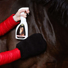 Load image into Gallery viewer, Coat Sheen